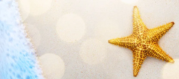 Seashells art na brzegu morza-wakacje na plaży tło — Zdjęcie stockowe