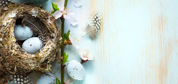 テーブル漫画の巣と春の花で飾られたイースターエッグ — ストック写真