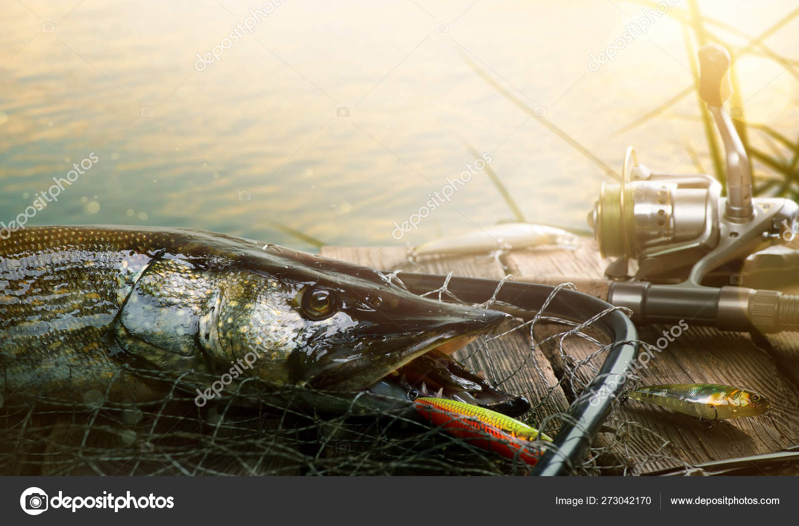 Summer Fishing background. Fishing lure and trophy Pike — Stock Photo ©  Konstanttin #273042170