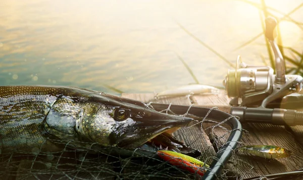 Sommar fiske bakgrund. Fiske lockar och Trophy Pike — Stockfoto