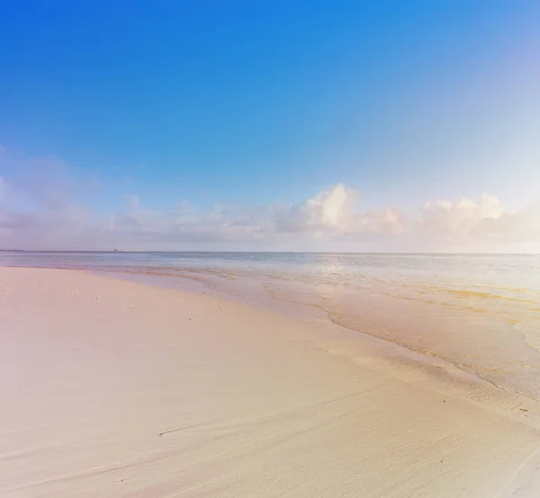 Vacanza estiva; sfondo spiaggia tropicale ; — Foto Stock