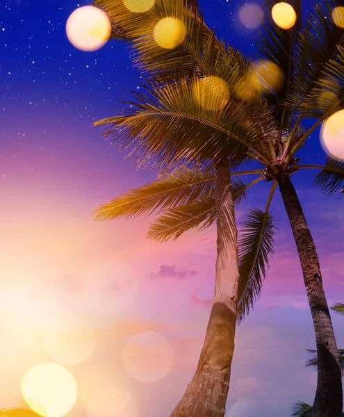 Tropische zomer strand nacht partij achtergrond — Stockfoto