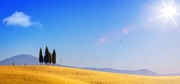 Por do sol sobre colinas rolantes de terras agrícolas da Toscana; campo de verão l — Fotografia de Stock