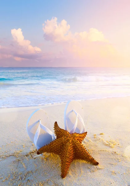 Yaz tropikal plaj arka plan; denizyıldızı, kum ve su kenarı; — Stok fotoğraf