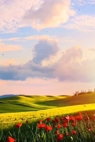 Pôr do sol sobre a paisagem rural da Toscana; Itália típica ; — Fotografia de Stock