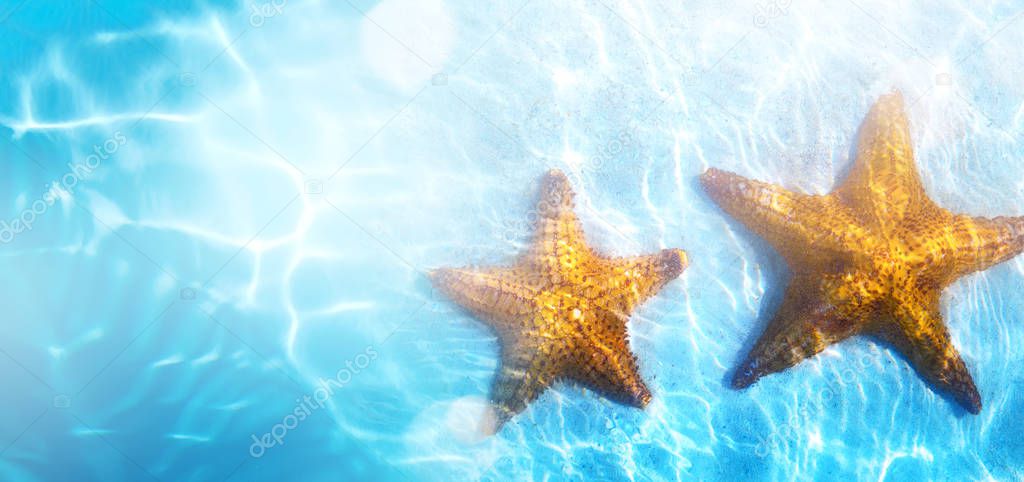 summer tropical beach background; starfish, sand and blue water 