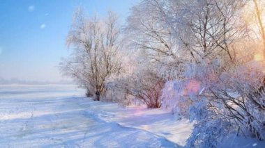 Noel ışık kış manzara, düşen kar ve karlı ağaç dalı,