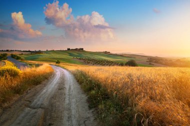 İtalya sonbahar kırsal manzara, kirli yol ve tarım arazisi ove