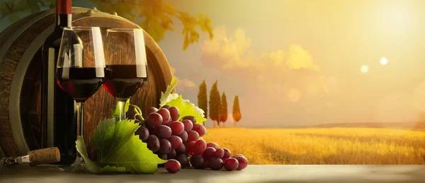 秋乡酒背景;葡萄藤，红酒瓶，葡萄酒 — 图库照片