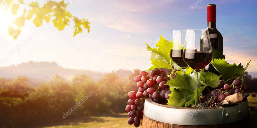 autumn countryside wine background; vine, red wine bottles, wine