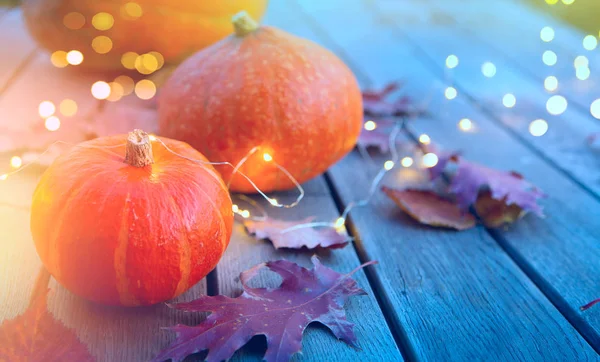 Thanksgiving férias festa fundo, outono abóbora e holida — Fotografia de Stock