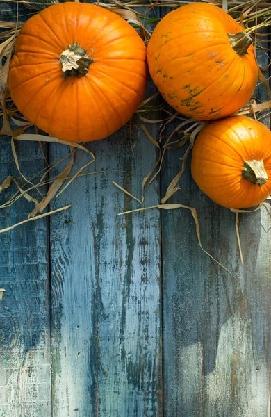 Hola Otoño Calabazas Mesa Madera Envejecida Luz Del Sol Fondo —  Fotos de Stock