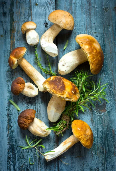Cogumelos Cep Temporada Outono — Fotografia de Stock