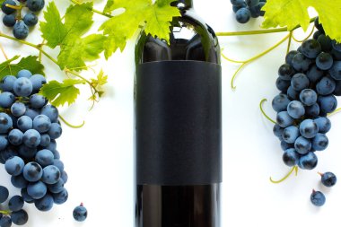 Şarap listesi geçmişi; tatlı siyah üzümler ve kırmızı şarap şişesi!