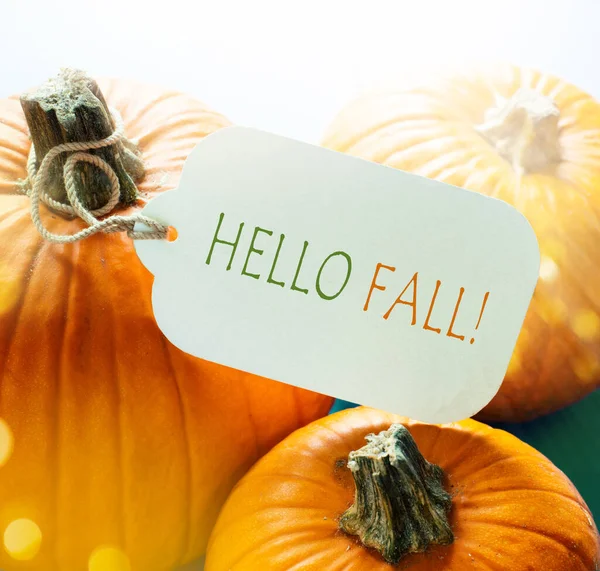 Mensaje Acción Gracias Con Calabaza Naranja Otoño —  Fotos de Stock