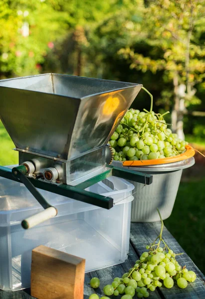 Homemade Winemaking Grape Crusher White Grape Garden Backgroun — Stock Photo, Image
