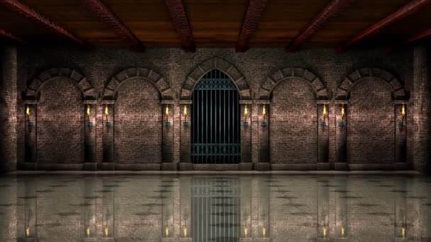 Sala Castillo Medieval Oscuro Puerta Hierro Con Antorchas Animación — Vídeos de Stock