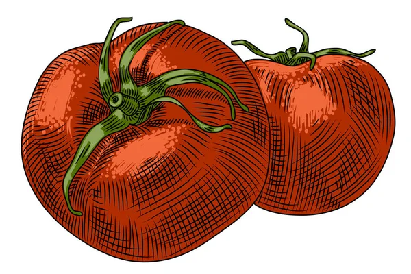 Dos Tomates Rojos Grandes Sobre Fondo Blanco — Vector de stock