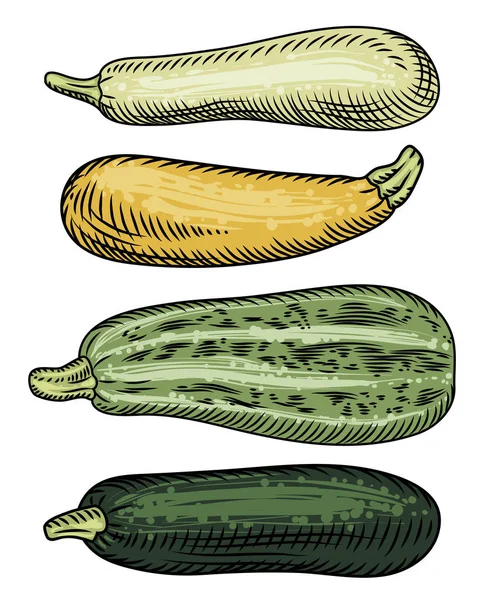 Set dari empat zucchini dari varietas yang berbeda dan warna pada whi - Stok Vektor