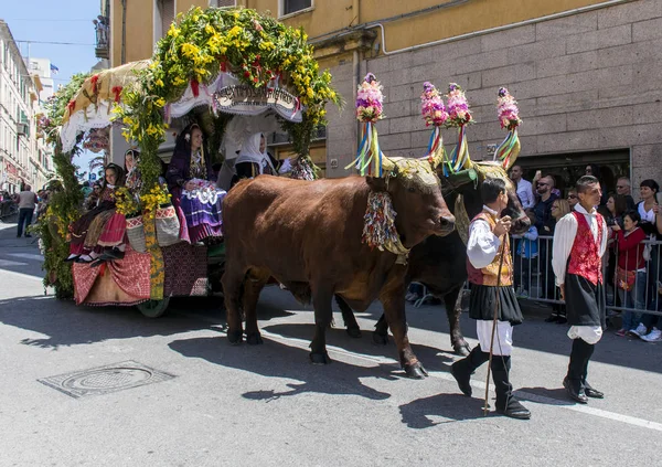 Sassari Italia Mayo 2017 Bueyes Carretas Desfile Cavalcata Sarda — Foto de Stock