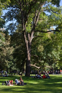 Vilnius, Litvanya - 8 Eylül 2013: İnsan Bernardinai bahçede zaman harcamak. Bernardinai Bahçe Vilnius eski şehir, 2013 yılında yeniden kamu parkıdır.