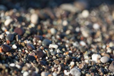 Islak çakıl doku yakın çekim Akdeniz beach, çok sığ derinlik-in tarla