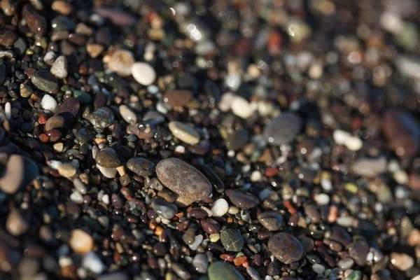 Våta Pebble Textur Som Närbild Strand Vid Medelhavet Mycket Kort — Stockfoto