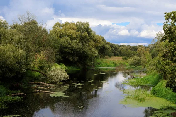 Nevezis Nehirde Vadakteliai Krekenava Bölgesel Park Litvanya Stok Resim