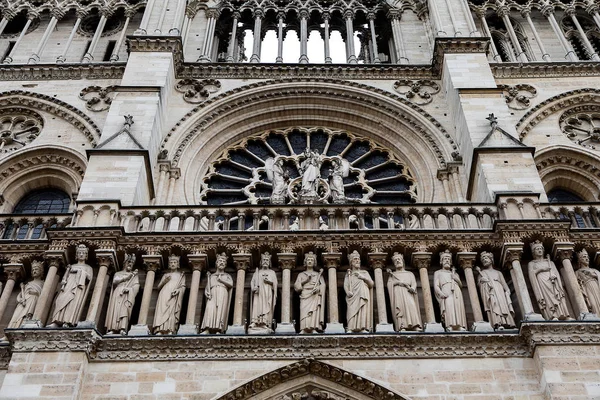 Fönstret Rose Notre Dame Paris Frankrike — Stockfoto