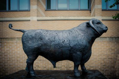 Oxford, İngiltere - 28 Nisan 2018: Oxford Ox heykel, Said Business School açılışını kutlamak için görevlendirildi. Heykeltraş Olivia Musgrave.