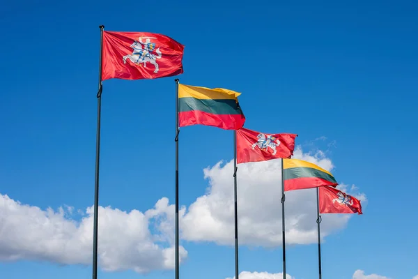 Litvanya Milli Tarihi Bayraklar Üst Üste Stok Resim