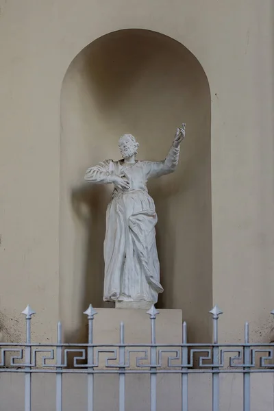 Statue Des Jesuitenheiligen Der Wand Der Kathedrale Von Vilnius Litauen — Stockfoto