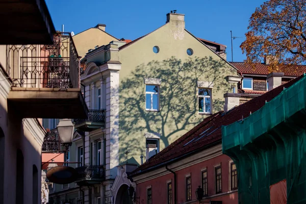 Expresivní Stín Stromu Zdi Budovy Blízkosti Uzupis Okrese Městě Vilnius — Stock fotografie