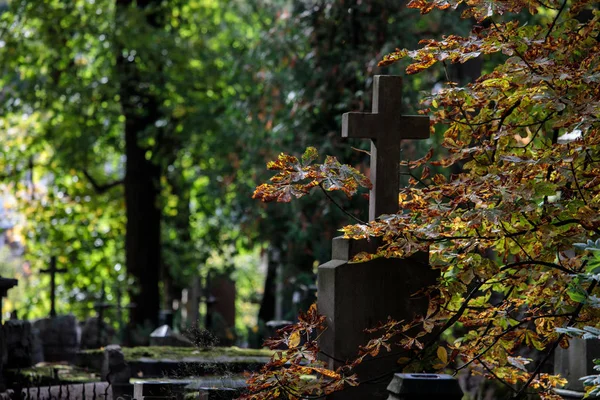 Eski Bir Mezarlık Ile Mezar Taşları Haçlar Vilnius Litvanya — Stok fotoğraf