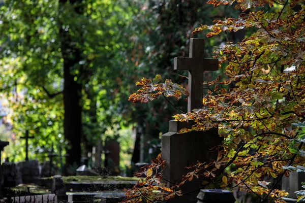 Eski Bir Mezarlık Ile Mezar Taşları Haçlar Vilnius Litvanya Stok Fotoğraf