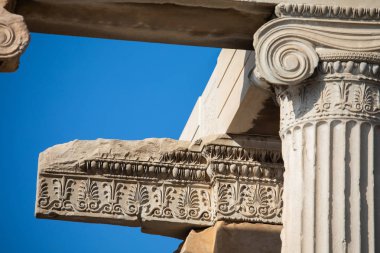 Çiçek desenleri uzaması frizleri Erechtheion Atina, Yunanistan, yan yana olan geniş bant içeren bir iyonik anta sermaye