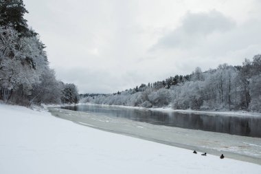Neris Nehri kışın. Valakampiai plaj Vilnius, Litvanya