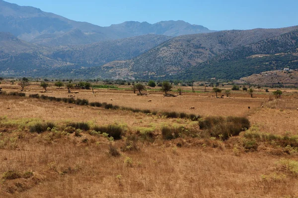 Paysage Incroyable Île Crète Grèce Vue Depuis Les Montagnes — Photo