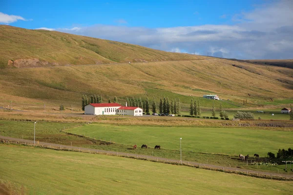 Вид Красивый Исландский Пейзаж Фармами Культурными Полями Исландия Европа — стоковое фото