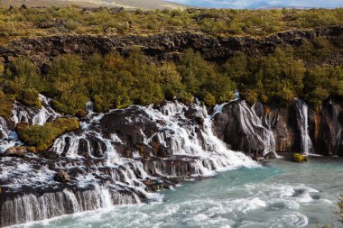 Hraunfossar (Borgarfjordur, Batı İzlanda) şelaleler Hvita nehire Langjokull glacier altında bir yanardağ patlama tarafından oluşturulan Hallmundarhraun lav alanı dışında akış