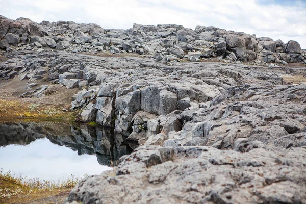 Dettifoss Avrupa Nın Güçlü Şelale Yanında Tipik Kayalık Manzara Jokulsargljufur — Stok fotoğraf