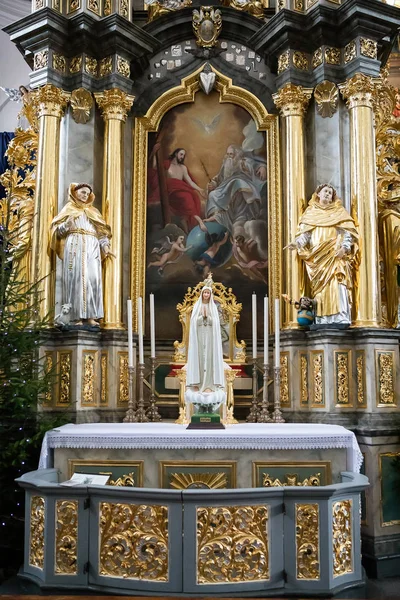 Cattedrale di San Francesco Saverio, Grodno, Bielorussia — Foto Stock