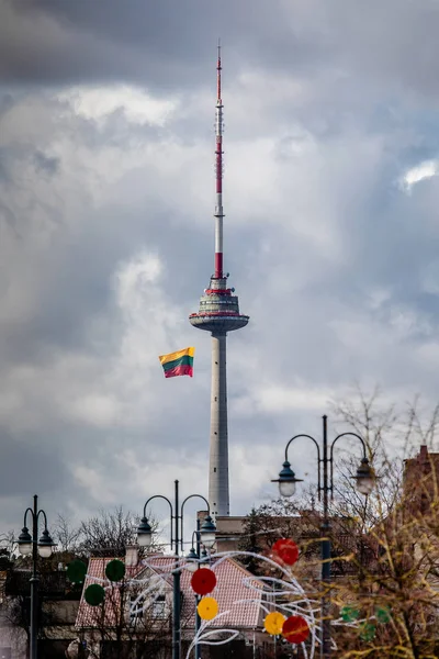 Banderą litewską — Zdjęcie stockowe