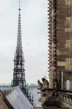 Notre Dame Katedrali 'nin kulesi.