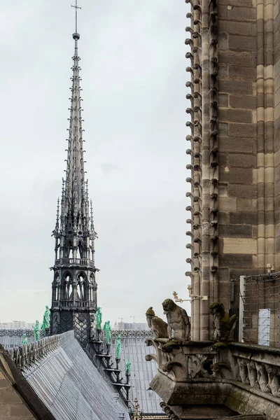 La torre de la Catedral de Notre Dame — Foto de Stock