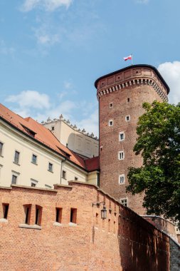 Wawel Kraliyet Kalesi Krakow, Polonya