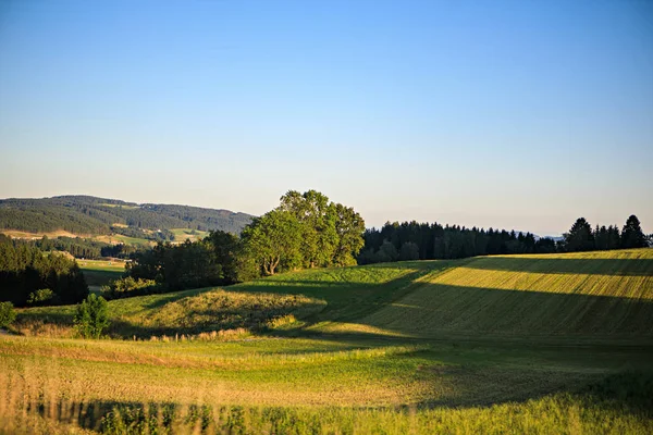 Tarde soleada en el campo —  Fotos de Stock