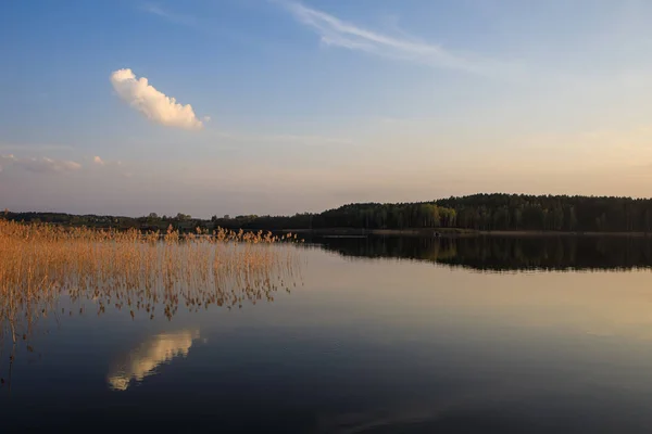 Virintai lake in the evening — Stock Photo, Image