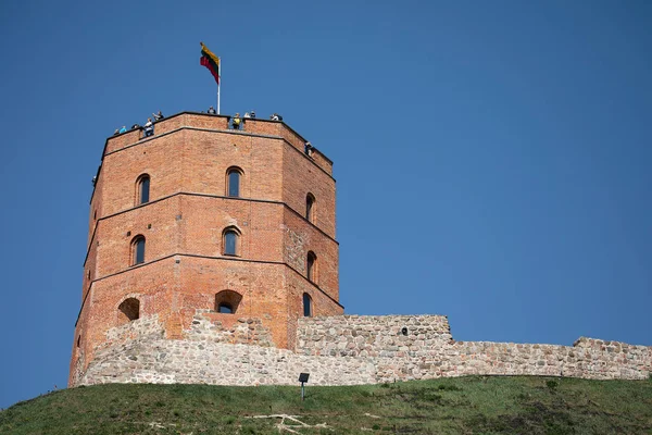 Tour Gediminas sur la colline de Vilnius — Photo