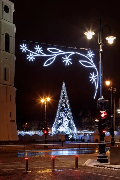 Vilnius Weihnachtsbaum 2018 — Stockfoto